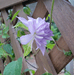 2ff613d3.gif