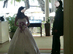 a78a5c10.gif