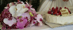 55c0025d.gif
