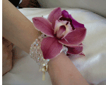 034462c5.gif