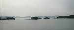 21ac8ed8.gif