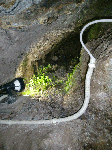 5a3a2297.gif