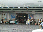 769d2a22.gif