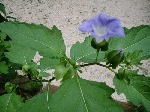 32e79667.gif