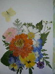 54411e81.gif