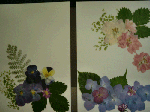 50f8988b.gif
