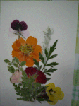 1d7d3bba.gif