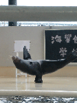 bf6b430e.gif