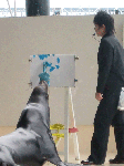 206fb309.gif