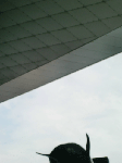 9597a4d7.gif