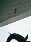9b8ff476.gif