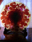d7798e21.gif