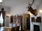 fc251dbb.gif
