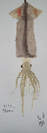 d37e0b47.gif
