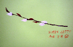 a1b66ea2.gif
