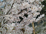 63aa75e8.gif