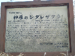 23967aa0.gif