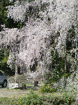e1fbcee1.gif