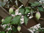 a8c5fb8d.gif