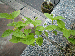 c607cd5b.gif