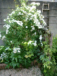 4608284d.gif