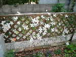 a390d8c3.gif