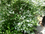 30f49285.gif