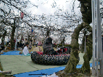 27340df7.gif