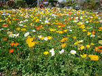 6cd05693.gif