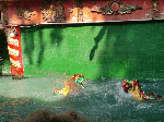 31444f8c.gif