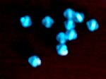 CIMG2048.gif