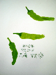CIMG2072.gif
