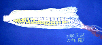 CIMG2184.gif