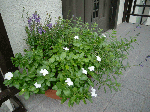 f546c6e7.gif