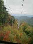 CIMG2291.gif