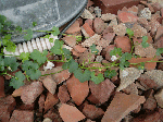 CIMG2307.gif