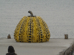 CIMG2317.gif