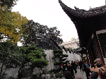 DSC00093.gif
