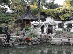 DSC00086.gif