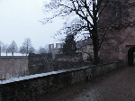 DSC00116.gif