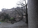 DSC00123.gif