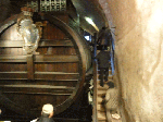 DSC00125.gif