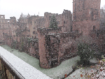 DSC00142.gif