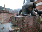 CIMG2385.gif