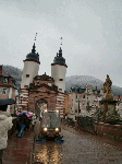 CIMG2390.gif