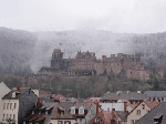 DSC00150.gif