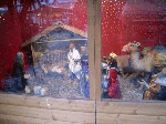CIMG2399.gif