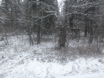 DSC00167.gif
