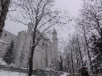 DSC00174.gif
