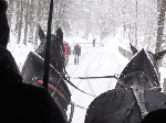 DSC00177.gif